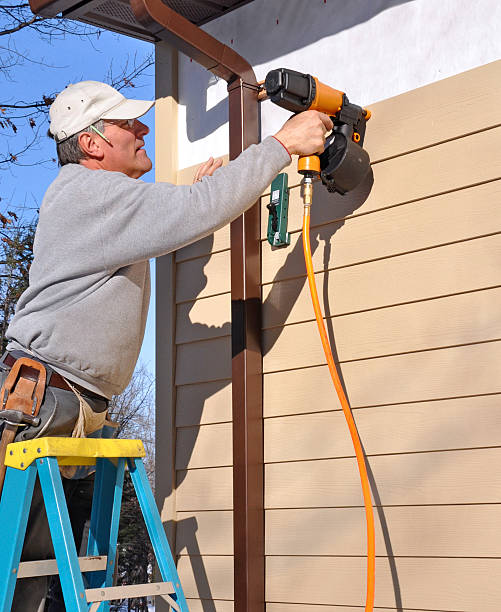 Affordable Siding Repair and Maintenance Services in Town N Country, FL