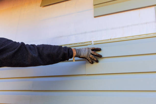 Best Historical Building Siding Restoration  in Town N Country, FL